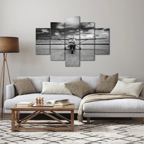 Tablou - Avion alb-negru și alb-negru (150x105 cm)