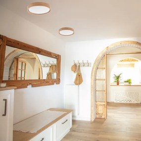 Brilagi - Plafonier MANAROLA SMART LED 24W 230V cu telecomandă Tuya