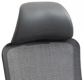 Scaun de birou Ergon gri