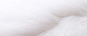 Tablou - Detalii pene (120x50 cm)