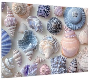 Tablou pe sticlă - Colecție de scoici (70x50 cm)