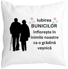 Perna Decorativa pentru Bunici 1, 40x40 cm, Alba, Mata, Husa Detasabila, Burduf
