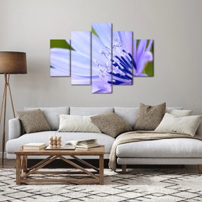Tablou - Floare (150x105 cm)