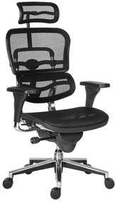 Scaun de birou - ERGOHUMAN2 PDH ULTRA BLACK FRAME W09-01+ALU BASE - precomanda 7-12 zile (Termen de livrare: 7 zile)