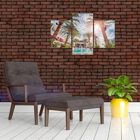 Tablou - palmier cu bazin (90x60 cm)