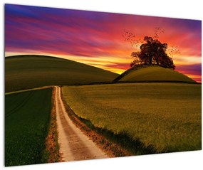 Tablou cu câmp și cerul colorat (90x60 cm)