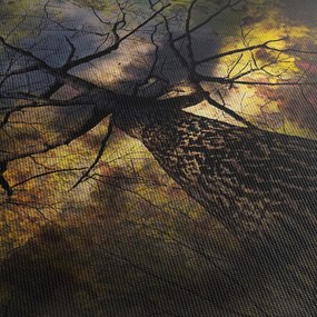 Tablou - Cerul enigmatic (150x105 cm)