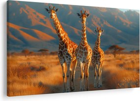 Tablou - Girafe pe pășune (90x60 cm)