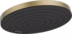Palarie de dus bronz periat Hansgrohe Pulsify Select 260 cu 1 jet