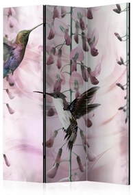 Paravan - Flying Hummingbirds (Pink) [Room Dividers]