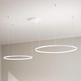 Ondaluce - Lustră LED dimabilă pe cablu SOEL LED/28W/230V + LED/38W, albă