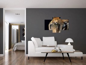 Tablou - Ghepard (90x60 cm)
