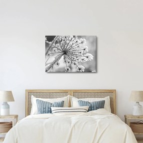 Tablou - Floare în timpul iernii (70x50 cm)