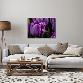 Tablou cu flori de lalele (70x50 cm)