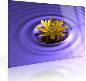 Tablou pe sticlă - Lotus (70x50 cm)