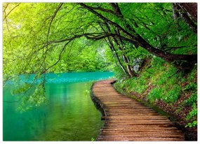 Tablou - Lacurile Plitvice (70x50 cm)