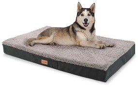 Balu, pat pentru câine, pernă pentru câine, lavabil, ortopedic, antiderapant, spumă cu memorie, dimensiunea L (100 × 10 × 65 cm)