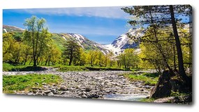 Pictură pe pânză River în munți