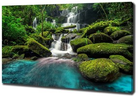Tablou canvas Cascada din junglă