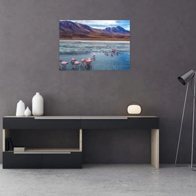 Tablou - Flamingo (70x50 cm)