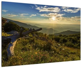 Tablou - Priveliștea (90x60 cm)