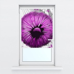 Fotojaluzele R015436R42150 (42x150 cm)