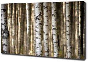 Tablou canvas Mesteceni