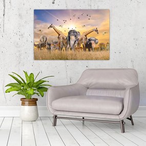 Tablou - Animae din Africa (90x60 cm)