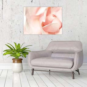 Tablou - Trandafiri (70x50 cm)