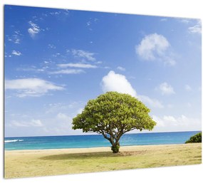 Tablou plaja cu copac (70x50 cm), în 40 de alte dimensiuni noi