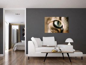 Tablou - Ochi de pisică (90x60 cm)