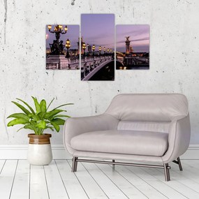 Tablou - Podul lui Alexandru al III.-lea din Paris (90x60 cm)