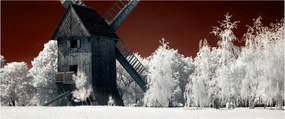 Tablou cu moară (120x50 cm)
