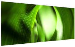 Tablou - Un fir de iarbă (120x50 cm)