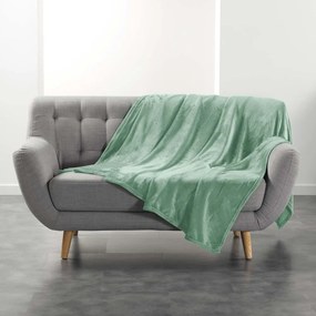 Pătură verde-deschis din microflanel 180x220 cm Flanou – douceur d'intérieur