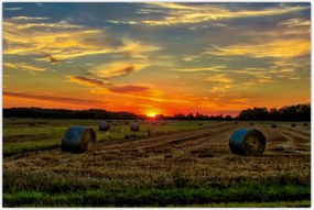 Tablou - Baloți din sat (90x60 cm)