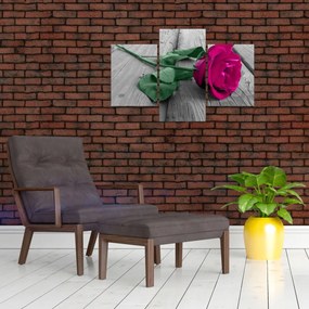 Tablou - Trandafir roz cu tulpina verde (90x60 cm)