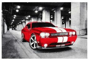 Covor Kolibri Masina 11117 Selectează mărime: 120 X 170