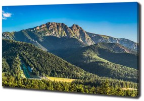 Tablou pe pânză Panorama tatra