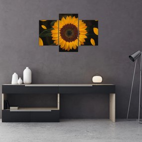 Tablou - Floarea soarelui și petale (90x60 cm)