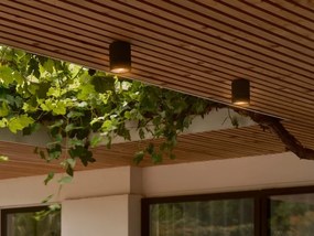 Plafoniera exterior cu protectie IP54 Kyklop Ripple Negru