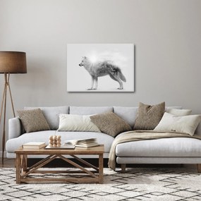 Tablou - Lupul arctic oglindit în peisajul sălbatic, alb-negru (70x50 cm)