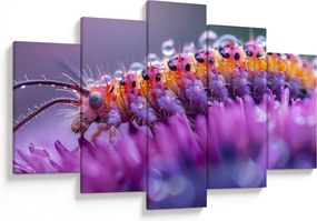 Tablou - Caterpillar (150x105 cm)