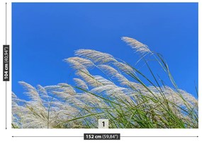 Fototapet Albastru Grass