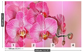 Fototapet roz Orhidee