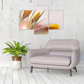 Tablou - Flori de primăvară (90x60 cm)