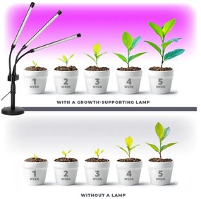 Lampă LED reglabilă VITARO pentru plante 3xLED/10W/230V negru
