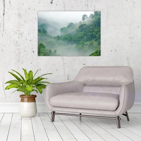 Tablou pe sticlă - Ceața de dimineață (70x50 cm)