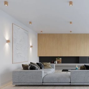 Plafonieră ORBIS 1xGU10/40W/230V lemn