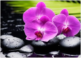 Tablou - Orhidee (70x50 cm)